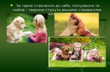  За гарне ставлення до себе, піклування та любов - тварини стануть вашими справжніми друзями. 